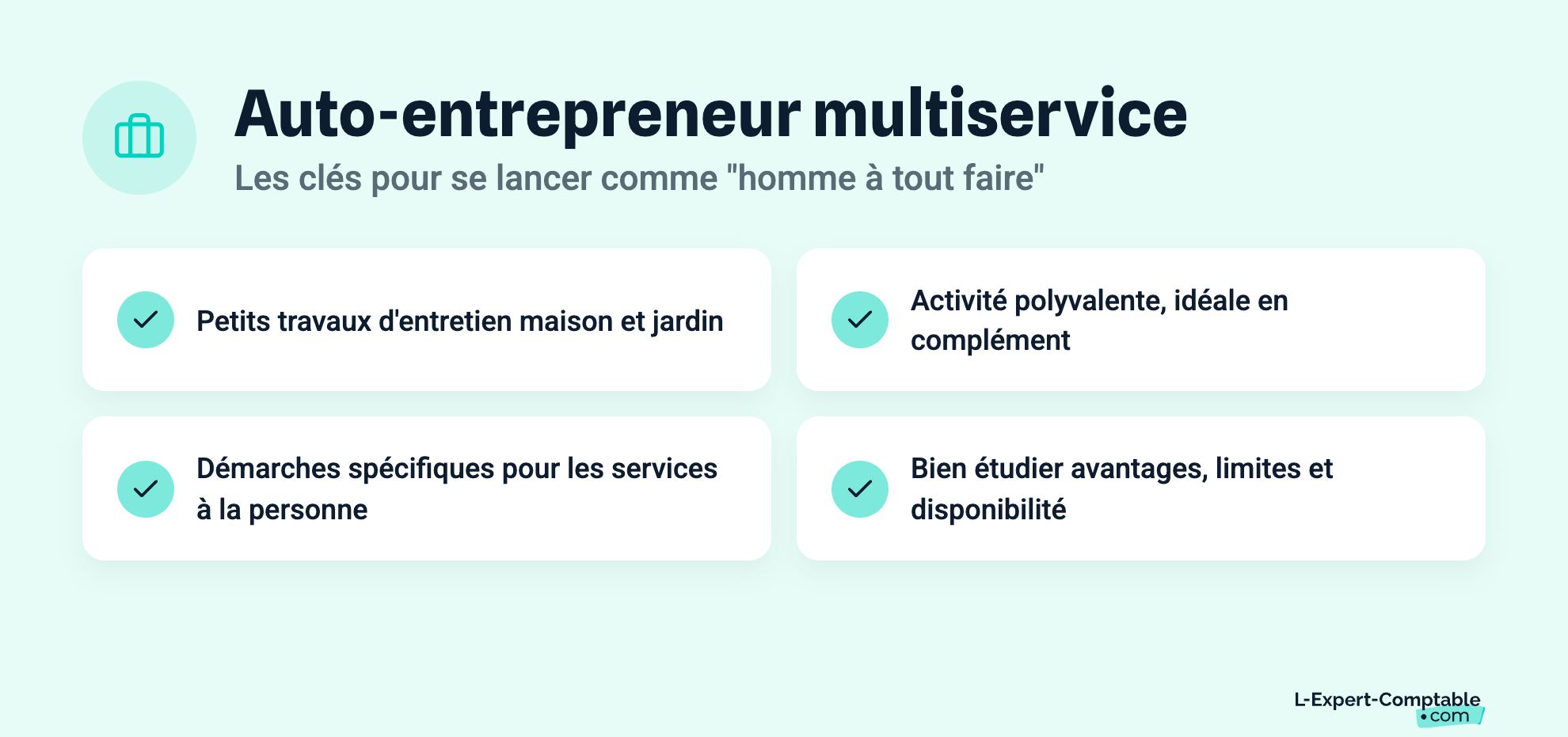 Auto-entrepreneur multiservice